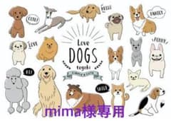 犬服3点セットのサムネイル