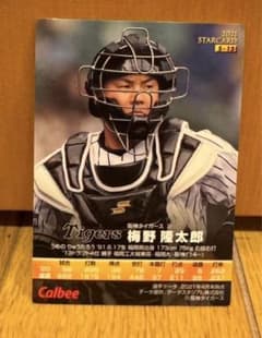 トレーディングカード　梅野隆太郎　阪神タイガースのサムネイル