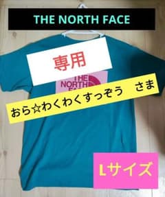 ノースフェイス　Lサイズのサムネイル