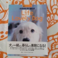 Life With Lovely Dog 大好きな犬と暮らすのサムネイル