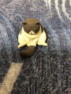ひまなの寝 猫 ネコのサムネイル