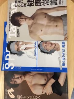 10/3まで出品　渡辺翔太 雑誌3冊セット Tarzan SPRiNG ananのサムネイル