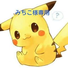 みちこ様専用！のサムネイル
