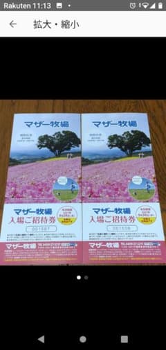 マザー牧場　無料券　二枚のサムネイル