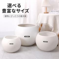 BIERWO 植木鉢 420 ホワイト 受け皿付き - メルカリ