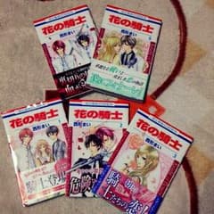こっぴ様専用！美品☆花の騎士 全巻セット ☆のサムネイル