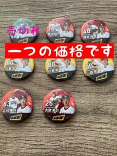 【kiki様専用】福岡ソフトバンクホークス　缶バッジのサムネイル
