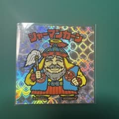 빅 리만 BM FOREVER 샤먼 카 넷