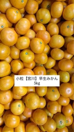 小玉　早生みかん【宮川】　5kgのサムネイル