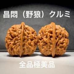 極美品】文玩核桃遊びクルミ·昌悶（野狼）ペア 回す天然胡桃・経年変化