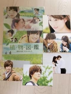 植物図鑑 映画ポストカードセットのサムネイル
