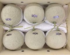 な*こ様 高知県産 温室マスクメロン 6玉入り 約8㎏（下箱込み） - メルカリ