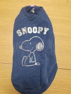 【中古】ペットパラダイス DSのサムネイル