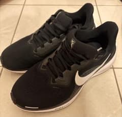 NIKE ペガサス41 26cmのサムネイル