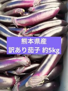 熊本県産 訳あり茄子 約5kg 2000円 - メルカリ