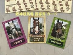 JRA welcomeチャンス 阪神競馬場 誘導馬 カード3枚セット - メルカリ