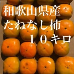 和歌山県産　たねなし柿　家庭用10キロ - 4
