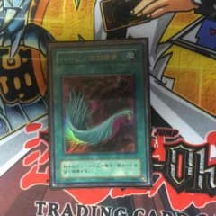 ハーピィの羽根箒のサムネイル
