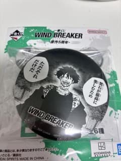WIND BREAKER 棪堂哉真斗 캔 배지 6종 세트