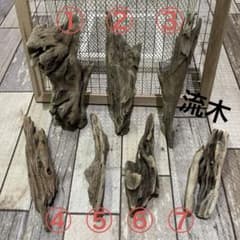 流木７点セット　流木アートのサムネイル