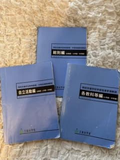 特別支援教育 学習指導要領 3巻セットのサムネイル