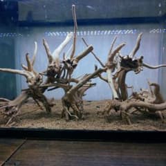 ※枝流木まとめ売り※のサムネイル