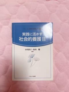 実践に活かす社会的養護 IIのサムネイル
