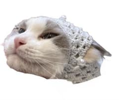 犬 猫 パールバブーシュカ ブルーのサムネイル