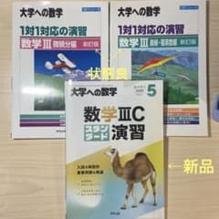 数学IIICスタンダード演習 2025年 05 月号•1対1対応の演習数学IIIのサムネイル