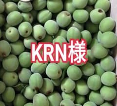 山梨県産　20kg　新鮮　青梅　甲州小梅　加工用 山梨県産 20kg 新鮮 青梅 甲州小梅 加工用 - メルカリ