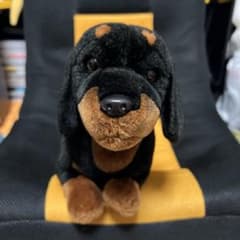 希少】REGALO ダックスフントぬいぐるみ 45cm - メルカリ