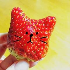 やんちゃガールズ様 専用のサムネイル