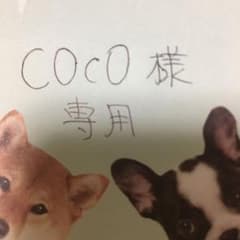 フラメンコ  オーダーファルダ  ソニアジョーンズのサムネイル