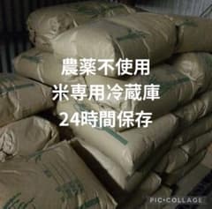 コシヒカリ 10kg ×2 農薬不使用 国産玄米 農家直送 単一品種 専用冷蔵庫のサムネイル