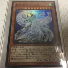 真竜凰マリアムネ スーパーのサムネイル