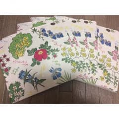 六花亭のショップバックのサムネイル