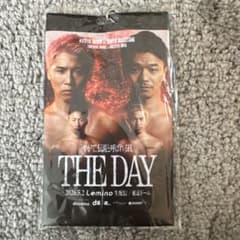 THE DAY 中谷潤人 vs 井上尚弥 チケットホルダー - メルカリ