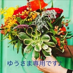 ゆうさま ご確認です☆彡のサムネイル