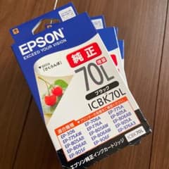 EPSON ICBK70Lのサムネイル