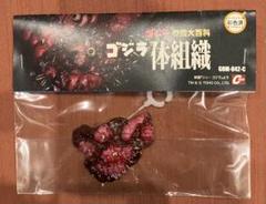 ゴジラ　特撮大百科　シン・ゴジラ　体組織　株式会社キャスト m36428736029_1.jpg?1740640505