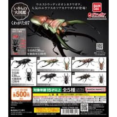いきもの大図鑑 クワガタ07 ミヤマクワガタのサムネイル