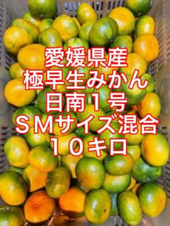 愛媛県産極早生みかん【日南1号】S.Mサイズ混合10キロのサムネイル
