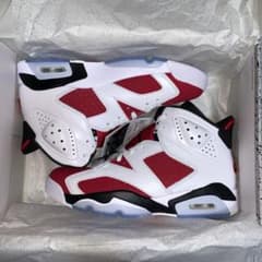 NIKE AIR JORDAN6 カーマイン2021のサムネイル