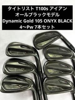 限定品 タイトリスト T100s アイアンセット オールブラック DG 
