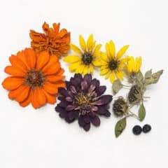 カラフル ドライフラワー 花材セット ハンドメイド素材のサムネイル