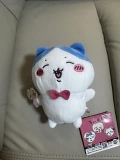ハチワレ　ぬいぐるみのサムネイル
