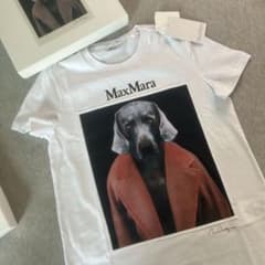 【新品未使用‼️】MaxMara 犬プリントコットンTシャツ　S 中古・古着通販】MaxMara (マックスマーラ) ドッグプリントTシャツ