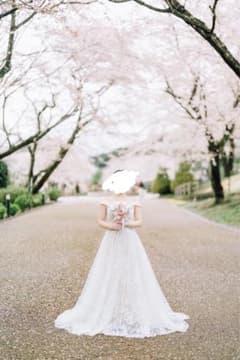 ウェディングドレスdress production W231のサムネイル