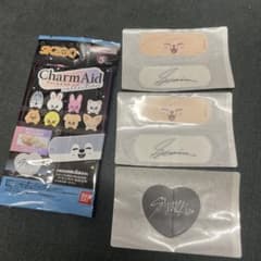 Stray Kids CharmAid チャームエイド スンミン パピームのサムネイル