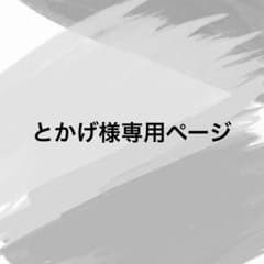 とかげ様専用ページのサムネイル